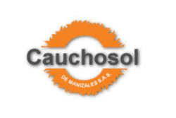 CAUCHOSOL